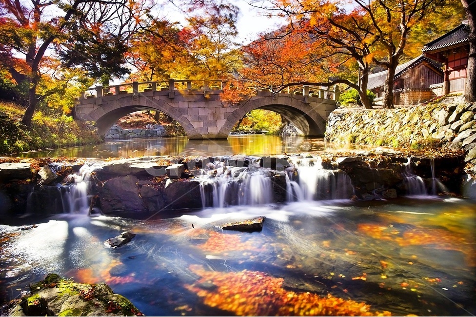 고창,선운사,도솔천,가을빛,장노출,단풍,가을,계절,fall,autumn,season,자연,풍경,nature,landscape,한국자연풍경,한국자연경관,korea nature landscape,outdoors,옥외,river,강,water,물,waterfall,폭포