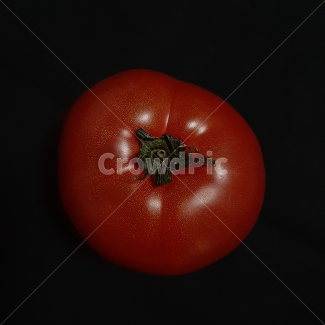 과일,토마토,tomato,채소,식물,fruit,음식,식재료,요리,food,cook,meal,dishes,food reserves