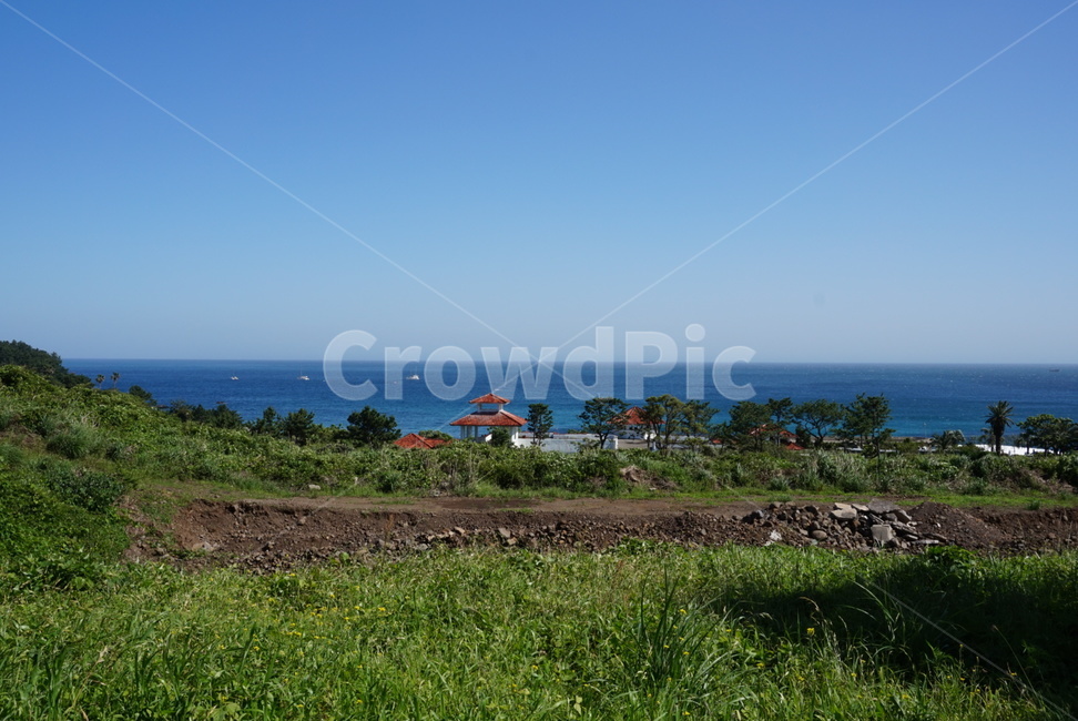 바다,야자수,나무,자연환경,자연풍경,제주도,바닷가,자연,풍경,nature,landscape,한국자연풍경,한국자연경관,korea nature landscape,제주도,jeju,jeju island,outdoors,옥외
