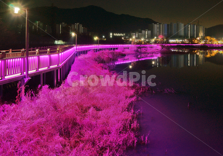 백운호수,호수,의왕,생태탐방로,탐방로,야경,조명,반영,덤불,야경,밤,풍경,nightscape,night,landscape,건축물,건물외관,exterior,building,structure,architecture,construction,plant,식물