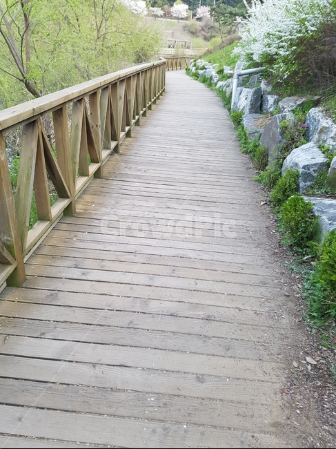 산책,휴식,길,휴일,여유