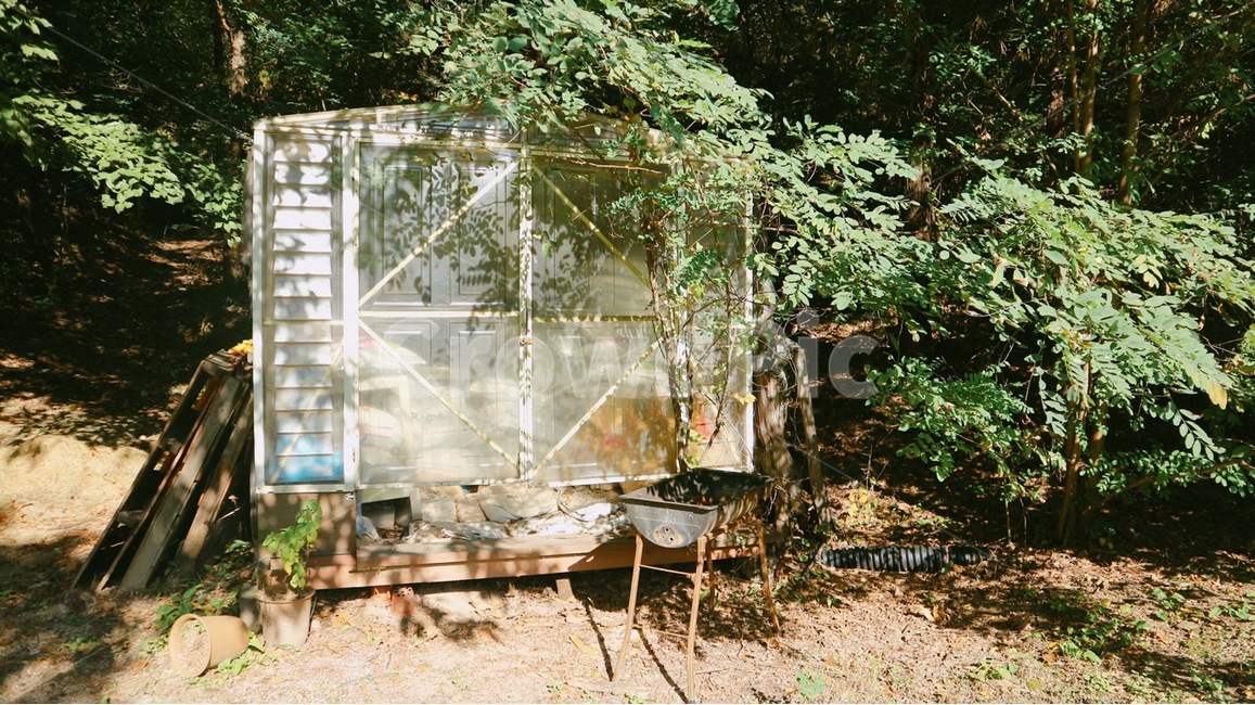 outdoors,옥외,자연,nature,온실