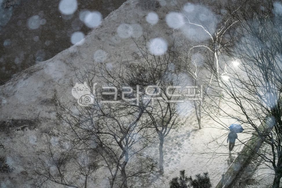 겨울,계절,설경,겨울풍경,추위,날씨,겨울분위기,자연,풍경,실외,눈보라,폭설,눈송이,눈망울,대설,함박눈,고드름,winter,snow,폭설주의보,재난,자연재해,가로등,우산,불빛,weather,outdoors