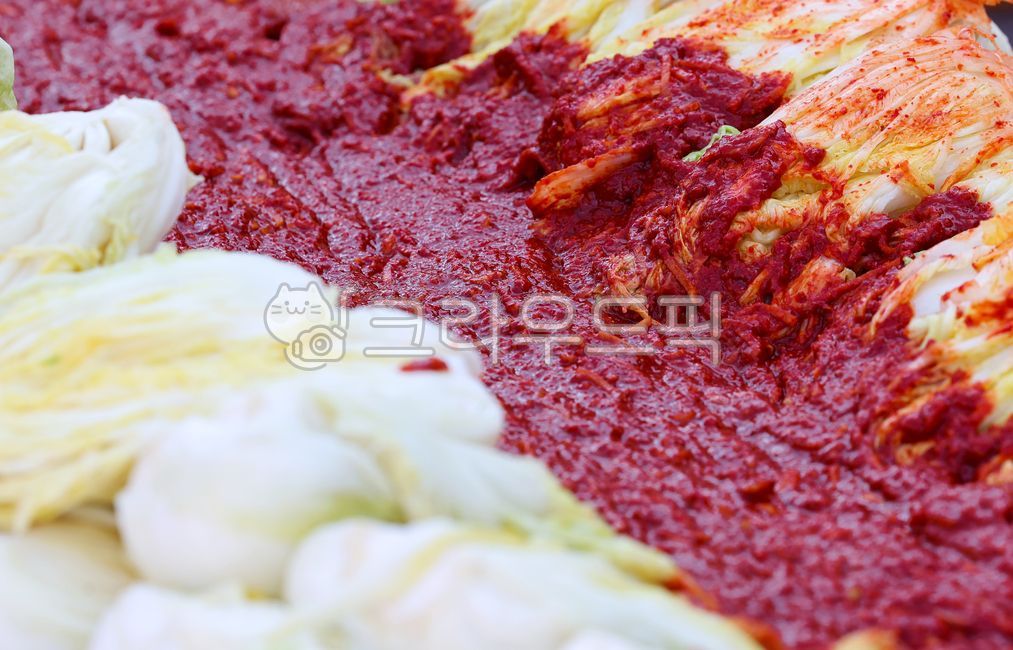 Kimchi,kimchi,kimchi preparation,kimchi factory,red pepper powder,factory,pickled cabbage,cabbage kimchi,traditional food,winter food,vegetable,vegetarian,fermentation,fresh,red,group,volunteer work,event,cabbage,red pepper paste,seaso