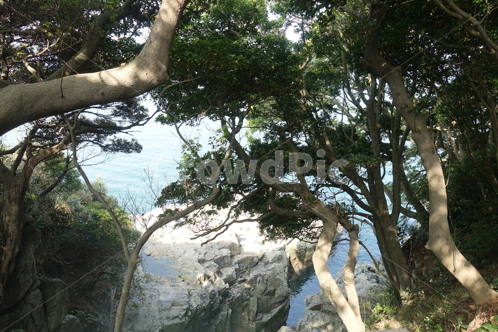 자연,풍경,숲,나무,바다,바위,장관,landscape,water,sea,rock,tree