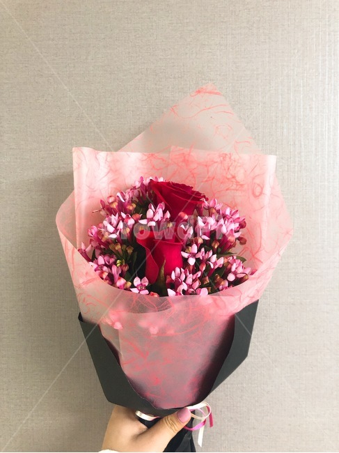 꽃,장미,빨간색,레드,빨강,꽃다발,핑크