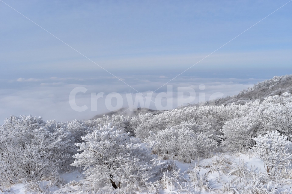 소백산,눈꽃풍경,상고대,겨울풍경,국립공원,겨울동화,힐링,감성,아름다움,뷰티풀,설국,눈풍경,파란하늘,100대명산,겨울명산,설경,서리꽃,영동,snow,landscape,눈,화이트,자연,신비로운,경이로운,천상,비경,치유,운해,자연,풍경,nature,landscape,겨울,계절,winter,season,outdoors,옥외