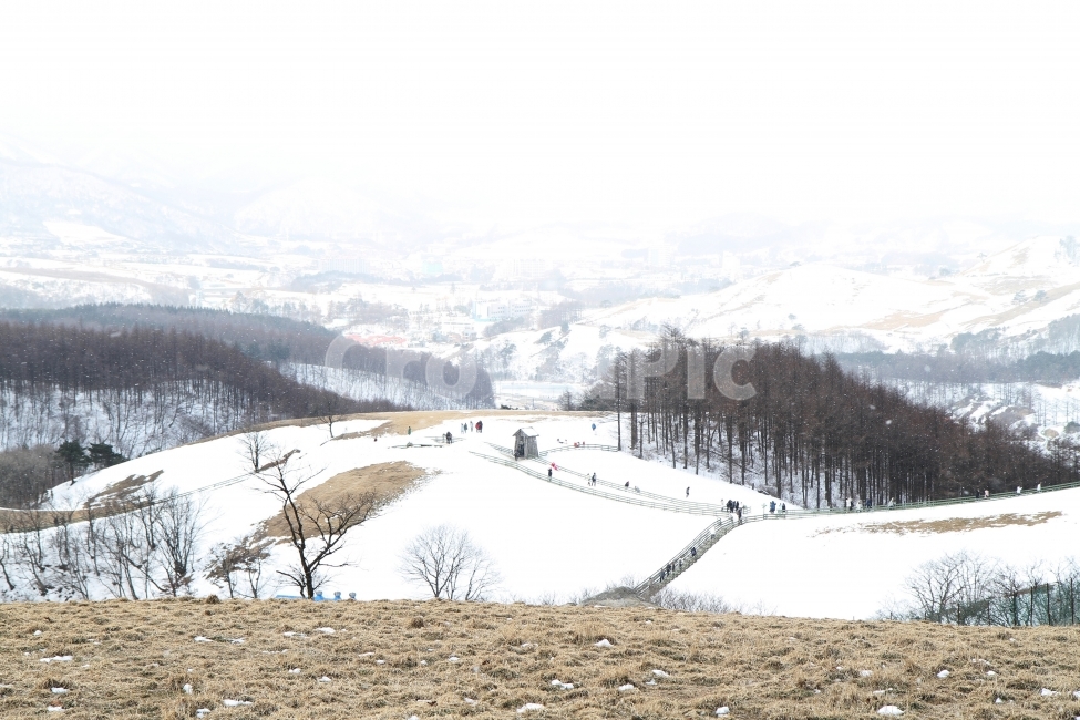 겨울풍경,설경,눈,자연,감성,겨울산,겨울,계절,winter,season,자연,풍경,nature,landscape,한국자연풍경,한국자연경관,korea nature landscape,plant,식물,tree,나무,abies,아비,fir,전나무