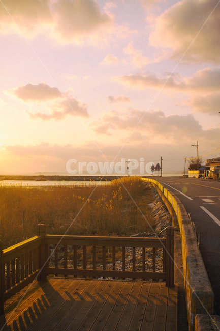 바다,일몰,갯벌,만,풍경,자연,하늘,구름,태양,해,햇빛,해안,바닷가,갈대,sea,sunset,sunfall,sunlight,bay,nature,landscape,sky,cloud,sun,항구,port,길,도로,road,자연,풍경,nature,landscape,한국자연풍경,한국자연경관,korea nature landscape,railing,난간,handrail,banister