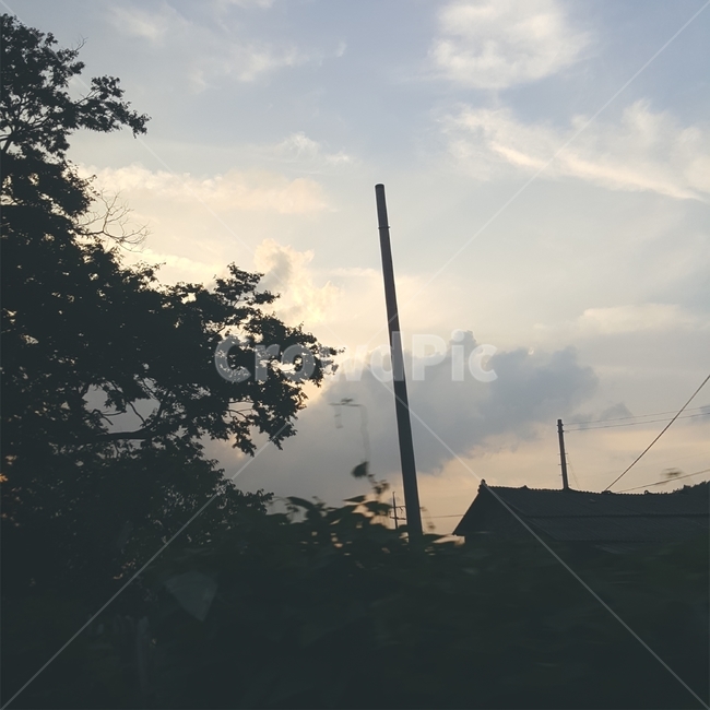 풍경,하늘,구름,노을,저녁,나무