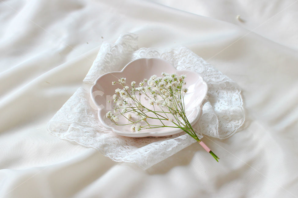 접시,꽃,안개꽃,분홍,감성사진,그릇,분홍색,하얀색,pink,white,flower,flowers,레이스,꽃,flower,연출,컨셉,콘셉,direction,concept