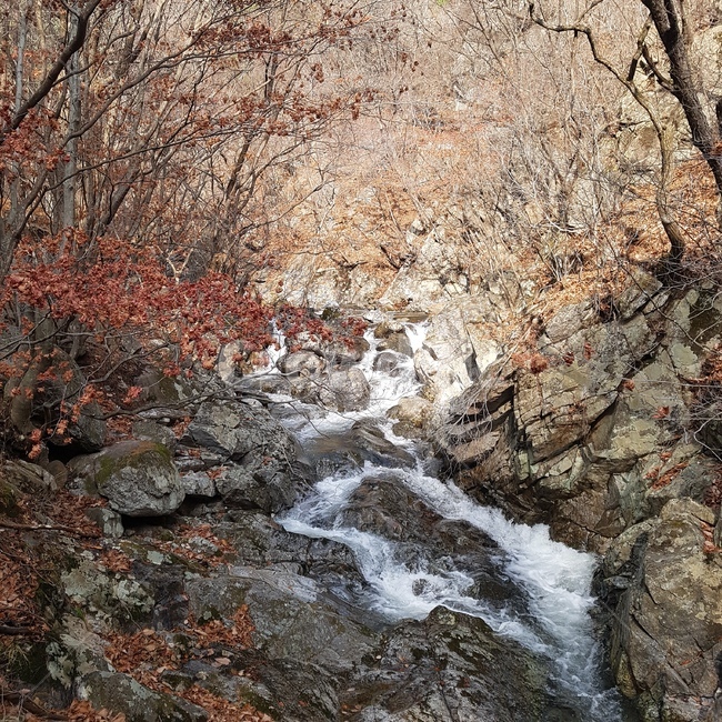 계곡,가을,시냇물,가을산,가을계곡,autumn,valley,가을,계절,fall,autumn,season,water,물,nature,자연,outdoors,옥외,creek,작은 만,stream,흐름