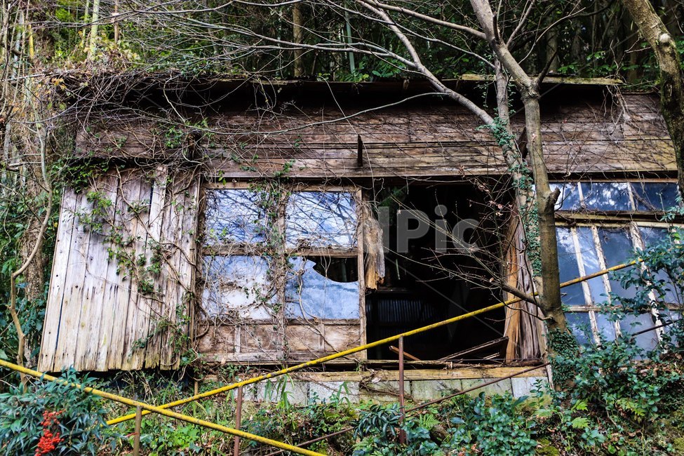nature,자연,outdoors,옥외,building,건물,countryside,rural,hut,농촌,오두막,shack,오두막집