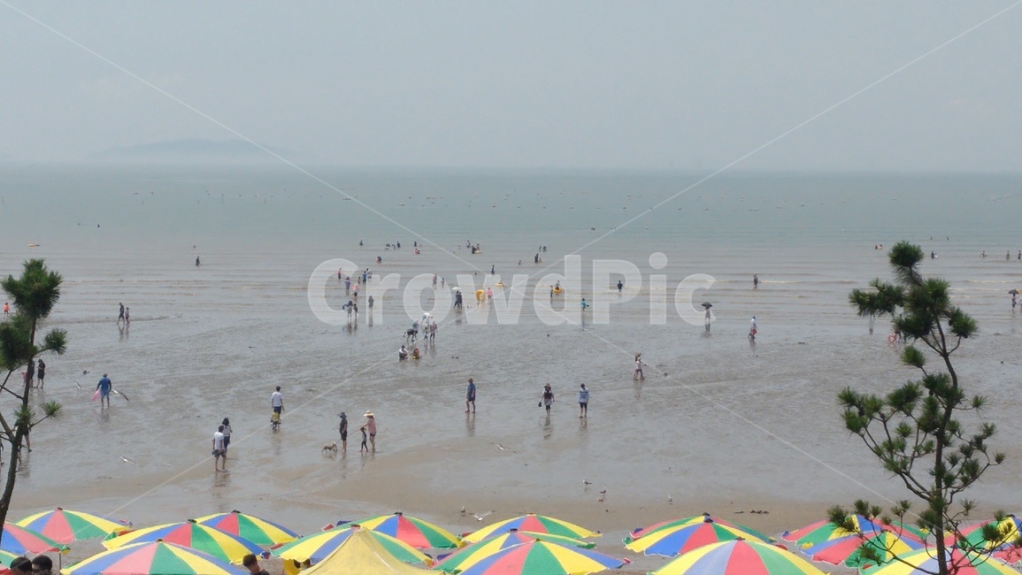여름,해수욕장,갯벌,휴가풍경,바다,해변,바다,beach,sea