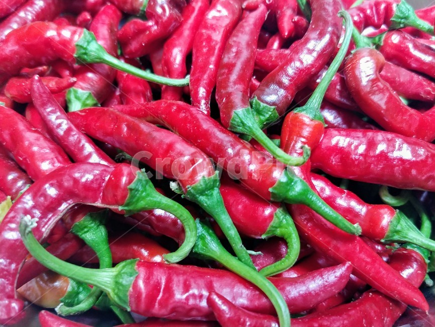 고추,맵다,red,빨강,한국음식,식재료,요리,food,hot,고추장,한국,색깔,색상,색채,색감
