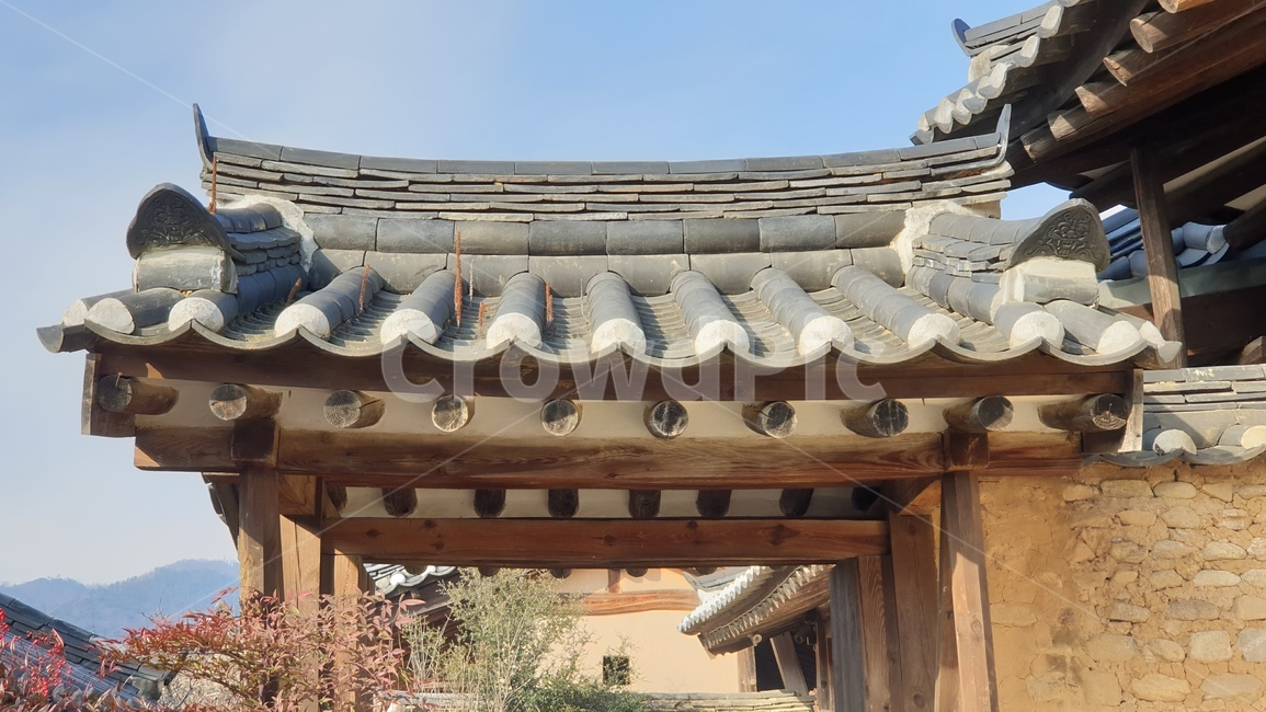기와,옛날집,기와집,한옥,architecture,건축물,building,건물,door,문,flooring,와송,안마당,지붕,한국전통,한국문화,korean traditional,korean culture,건축물,건물외관,exterior,building,structure,architecture,construction