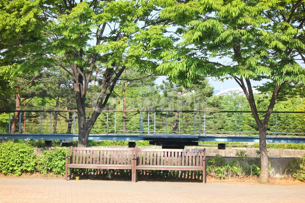 선유도공원,벤치,풍경,분위기,나무,공원,휴식