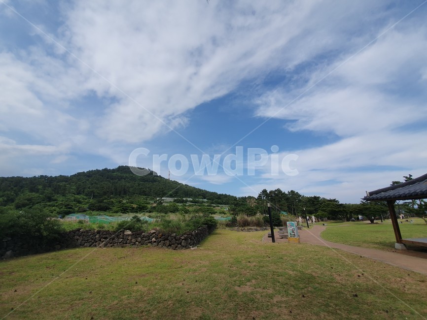 하늘,제주도,제주도올레길,올레길7코스,자연,field,nature,들