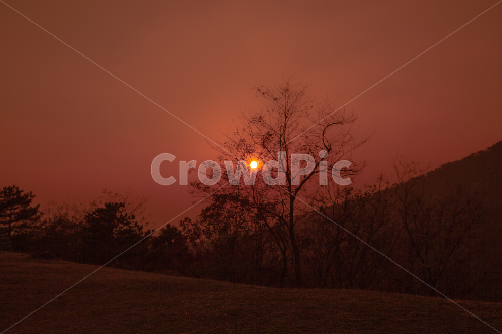 해,나무,산,노을,황혼,자연,풍경,nature,landscape,실루엣,그림자,silhouette,shadow,outdoors,옥외,sunset,일몰,red sky,붉은 하늘,sky,하늘,dusk,dawn,새벽