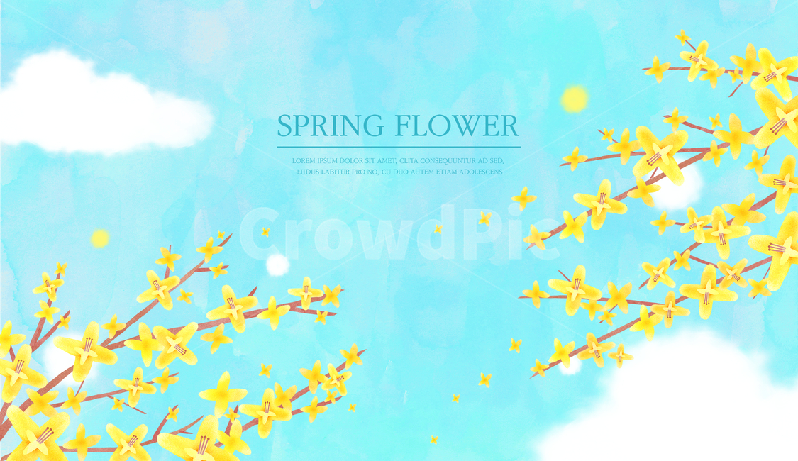 개나리,꽃,하늘,구름,개나리꽃,봄,감성,배너,봄,계절,spring,season,식물,자연,plants,nature,꽃,flower,그래픽,일러스트레이션,graphic,illustration,paper,종이