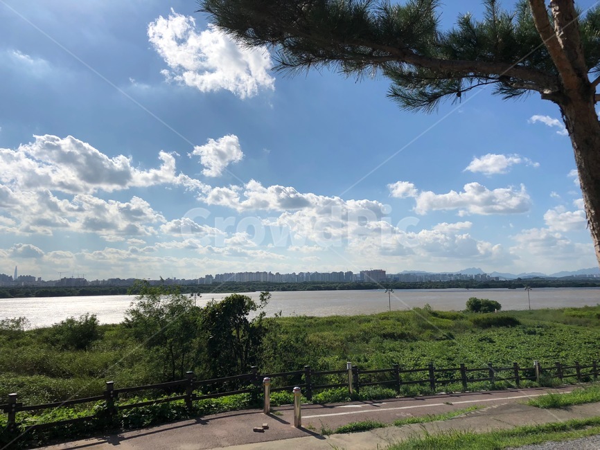 남양주,팔당,하늘,구름,나무,자연,풍경,nature,landscape,outdoors,옥외,tree,plant,식물,weather,날씨