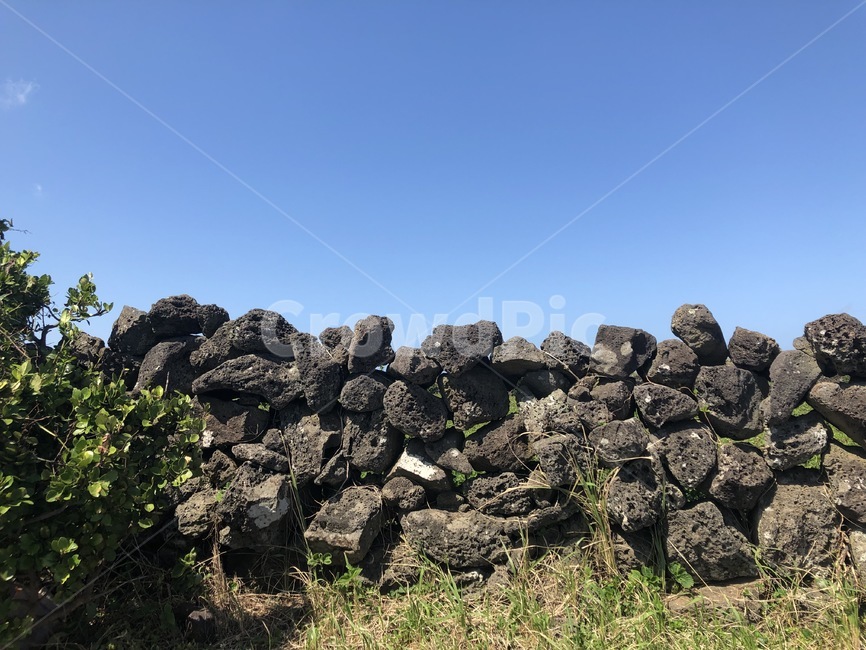 돌담,제주,제주도,풍경,jeju