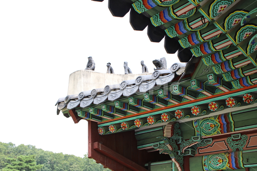 융건릉,융릉,건릉,한옥,풍경,소나무