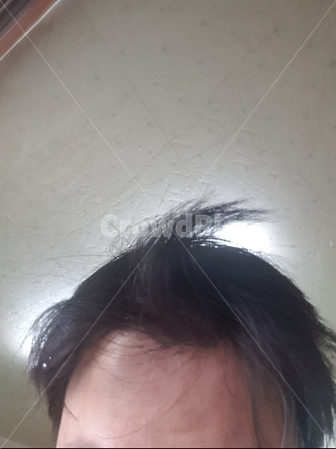머리,헤어,무스,스프레이,미스트