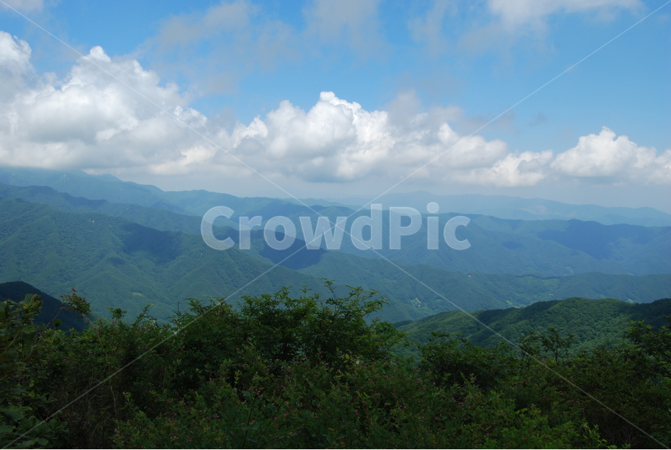 삼신봉,한국산야,여름,휴양림,탐방로,자연,풍경,nature,landscape,outdoors,옥외,mountain,산,mountain range,산맥
