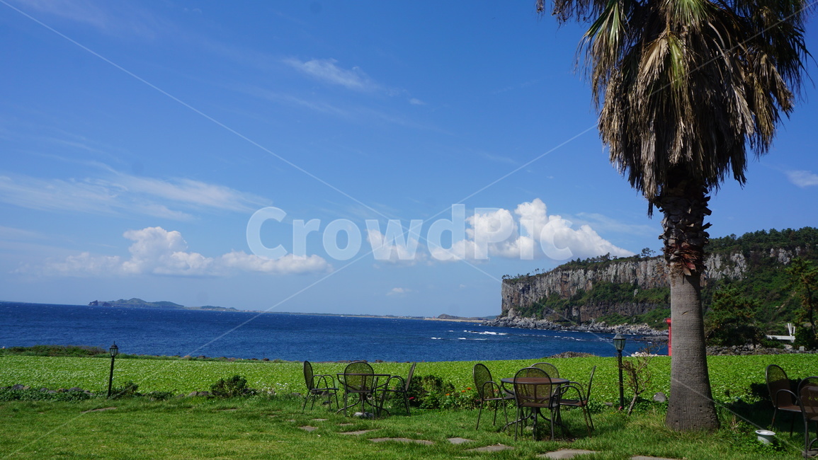 nature,자연,박수기정,해안절벽,맑은,바다,제주바다,sea,coastcliff,jeju,jejuisland,화창한,풍경,scenery