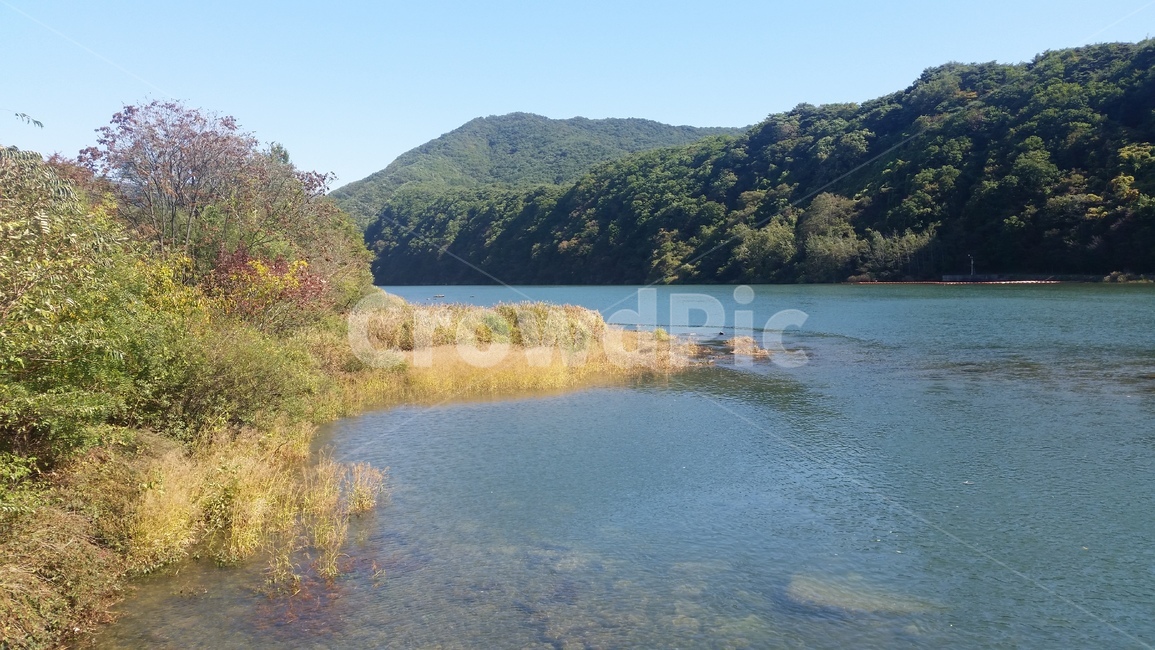 개울,강변,강,자연,숲,나무,tree,wood,수풀,bush,riverside,river,산,mountain