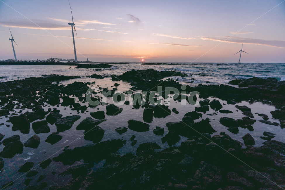sea,바다,ocean,대양,nature,자연,outdoors,옥외,water,물,파도,wave,일몰,sunset,노을,풍차,풍력발전기,반영,제주,jeju,신창풍차해안,자연,풍경,nature,landscape,에너지산업,energy industry,plant,식물