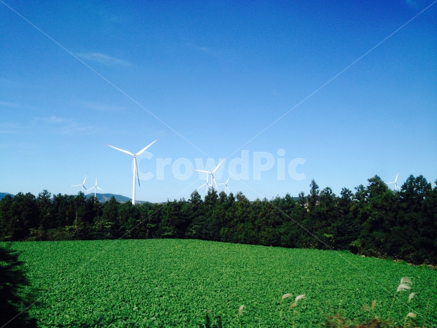 들판,맑은,숲,바람,풍경,푸른,하늘,초록,green,grass,풍력발전기,맑음,wind,Field