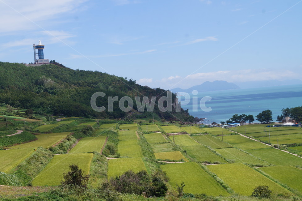 논,계단식논,풍경,들판,다랭이논,자연,풍경,nature,landscape,한국자연풍경,한국자연경관,korea nature landscape,산업,industry,industrial,농업,농사,agriculture,farming,farming industry,outdoors,옥외,field,들,grassland,목초지,paddy field,패디 필드