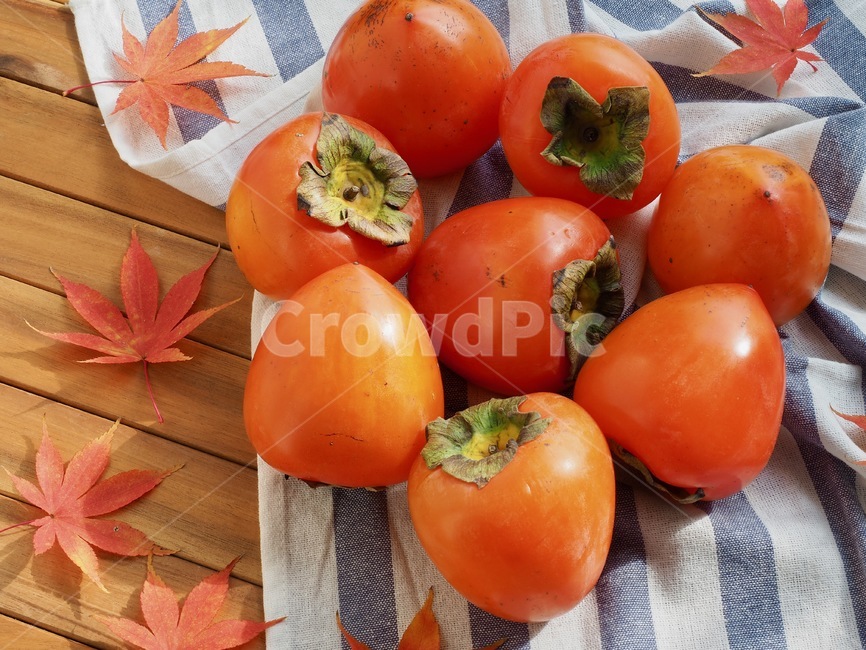 과일,홍시,음식,한국과일,가을과일,가을주황색,웰빙,배경,fruit,hongsi,food,koreanfruit,autumnfruit,autumnwellbeing,persimmon,background,ripepersimmon,가을,계절,fall,autumn,season,음식,식재료,요리,food,cook,meal,dishes,food reserves,과일,열매,fruit,plant,식물,감