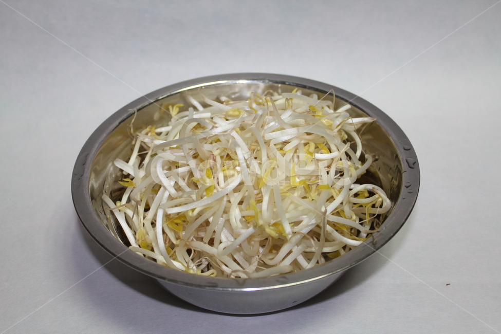 숙주,숙주나물,야채,채소,식재료,음식,요리,손질,음식,식재료,요리,food,cook,meal,dishes,food reserves,채소,야채,vegetables