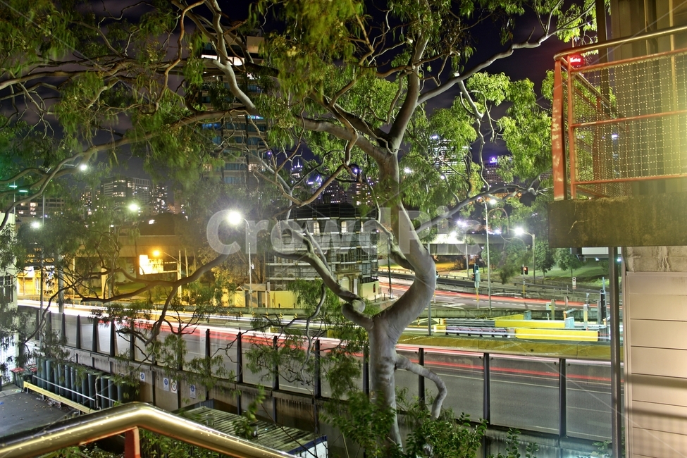 시드니,밤거리,야경,sydney,nightview,야경,밤,풍경,nightscape,night,landscape,도시,city,해외,외국,세계,foreign,oversea,world,세계도시풍경,해외도시풍경,외국도시풍경,world cityscape,handrail,난간,banister