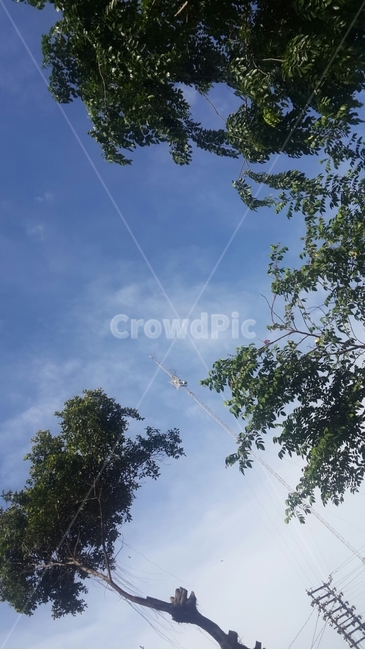 인도네시아,자카르타,하늘,나무,푸른하늘,indonesia,jakarta,blue,bluesky