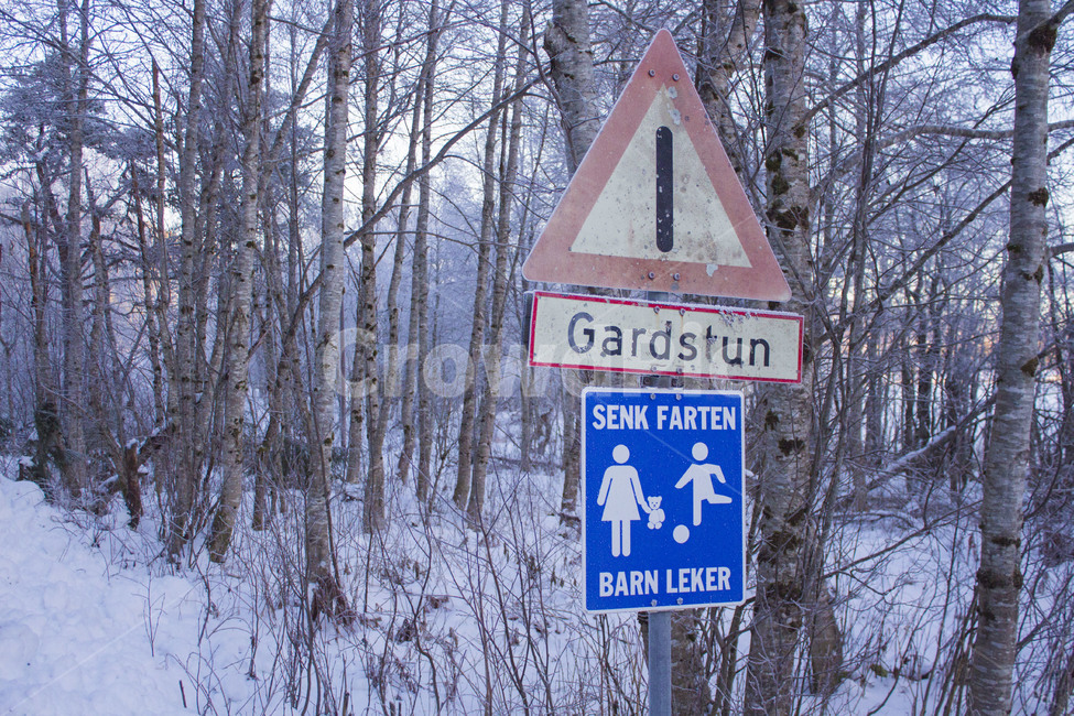 겨울,나무,winter,표지판,눈,겨울,계절,winter,season,자연,풍경,nature,landscape,symbol,상징