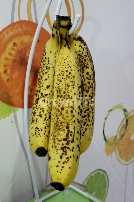 바나나,익은바나나,과일,반점,익다,banana,과일,열매,fruit