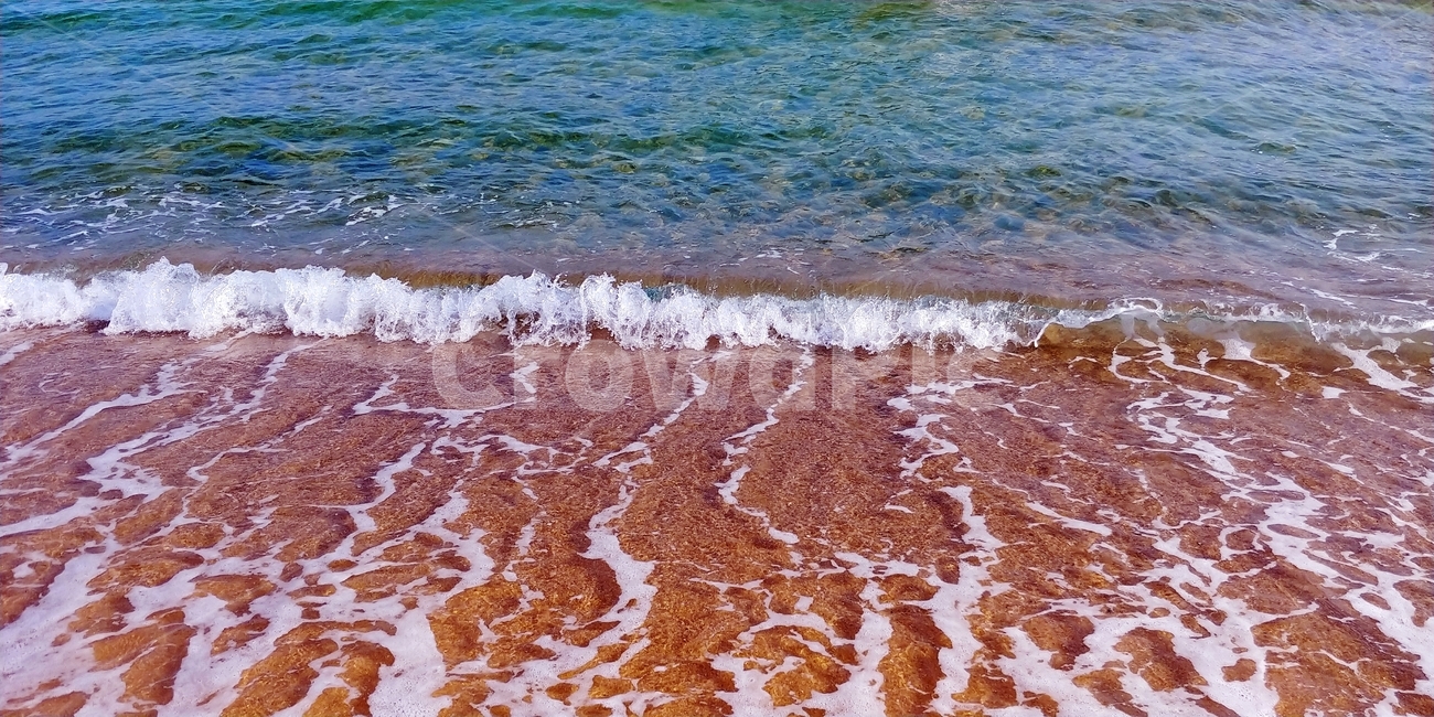 nature,자연,outdoors,옥외,sea,파도