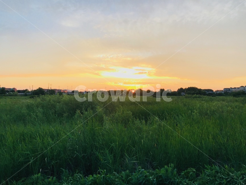 노을,풀,하늘,자연,sunset,nature,sky,grass