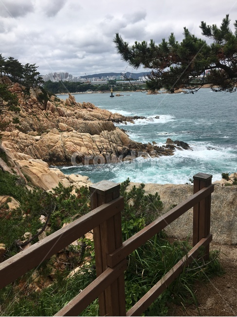 대왕암,바다,풍경,나무,돌,파도,자연,풍경,nature,landscape,promontory,곶,railing,난간