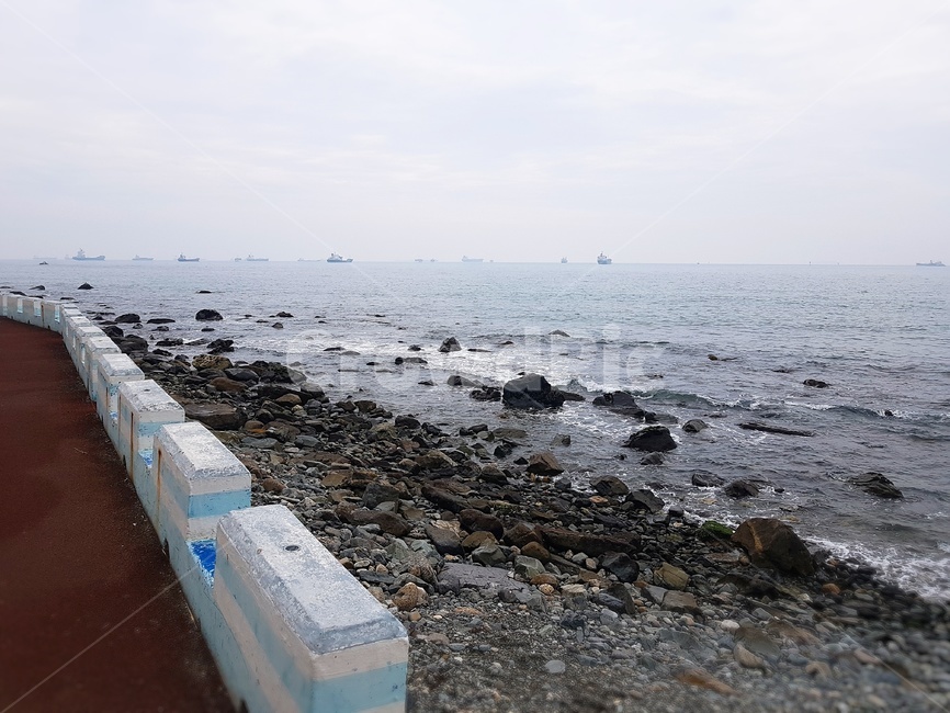 갯벌,부산,바닷가,바다,해안가,자연,풍경,nature,landscape