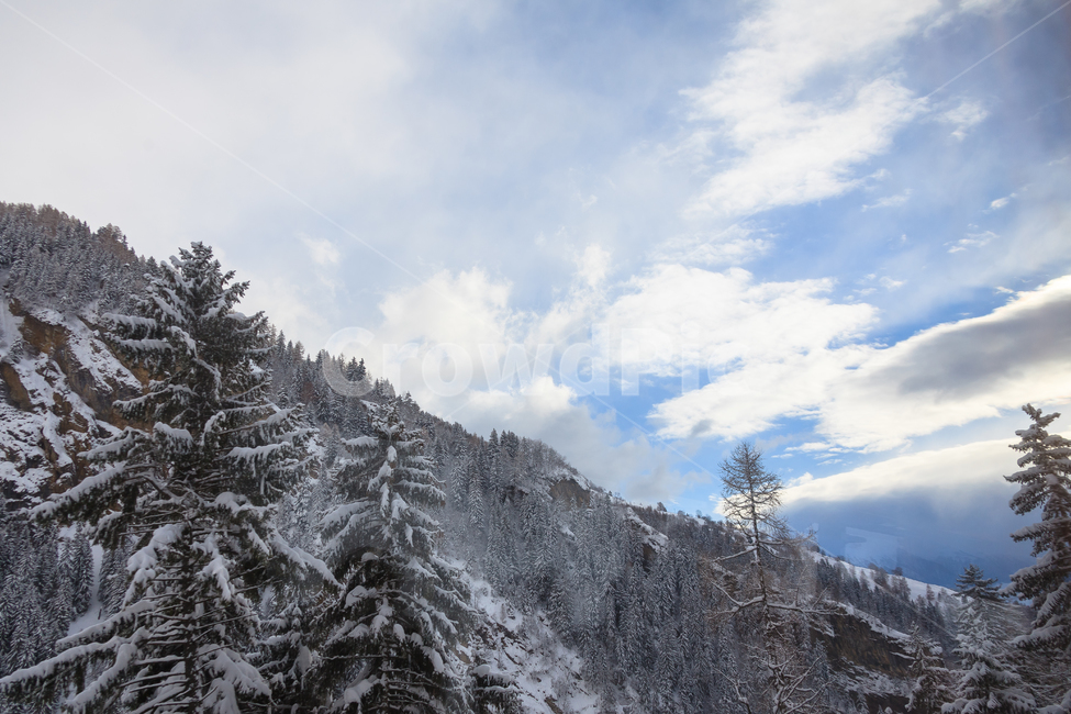 알프스산맥,스위스,겨울,눈,산,숲,구름,나무,겨울,계절,winter,season,자연,풍경,nature,landscape,해외,외국,세계,foreign,oversea,world,세계자연풍경,해외자연풍경,외국자연풍경,world nature landscape,tree,plant,식물,fir,전나무,abies,아비