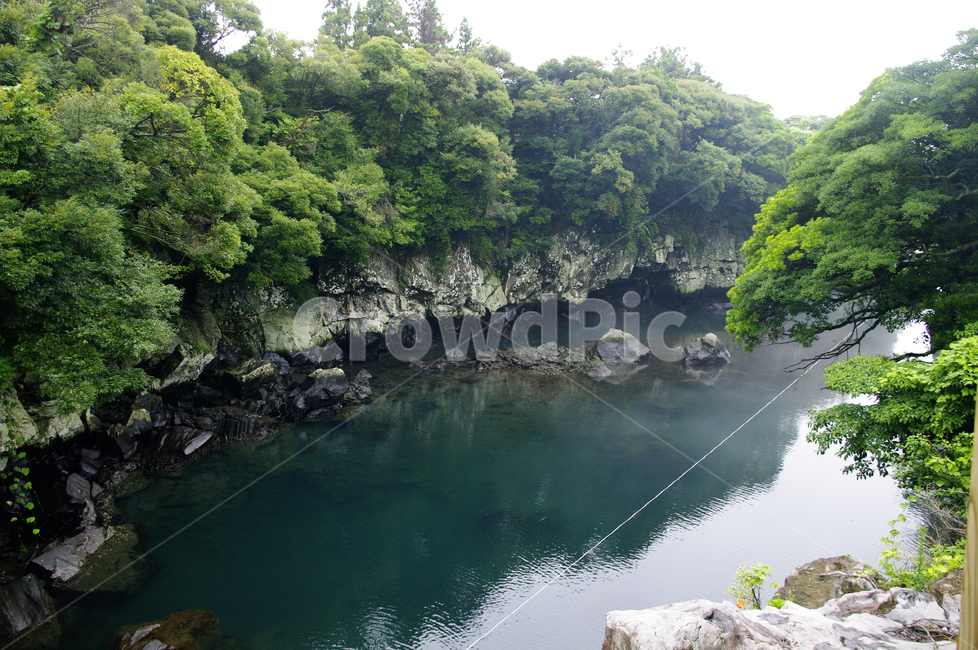 제주,쇠소깍,풍경,하천,나무,식물,자연,풍경,nature,landscape,한국자연풍경,한국자연경관,korea nature landscape,제주도,jeju,jeju island,water,물,outdoors,옥외