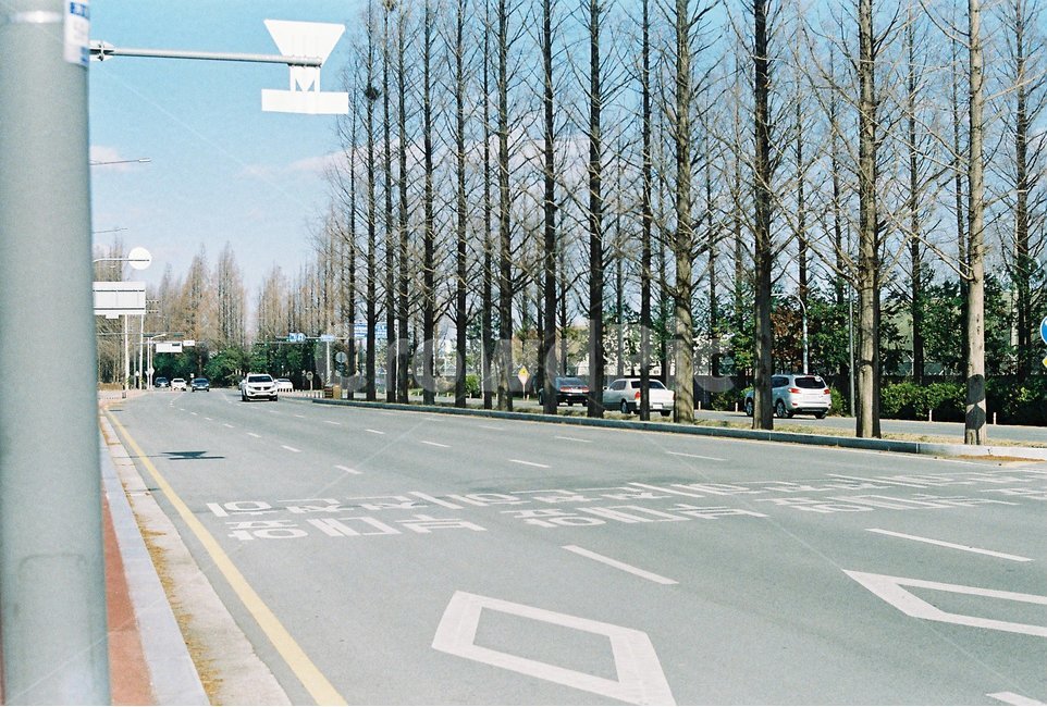 도로,길,공용도로,도로표지판,road,교통,교통수단,traffic,transportation