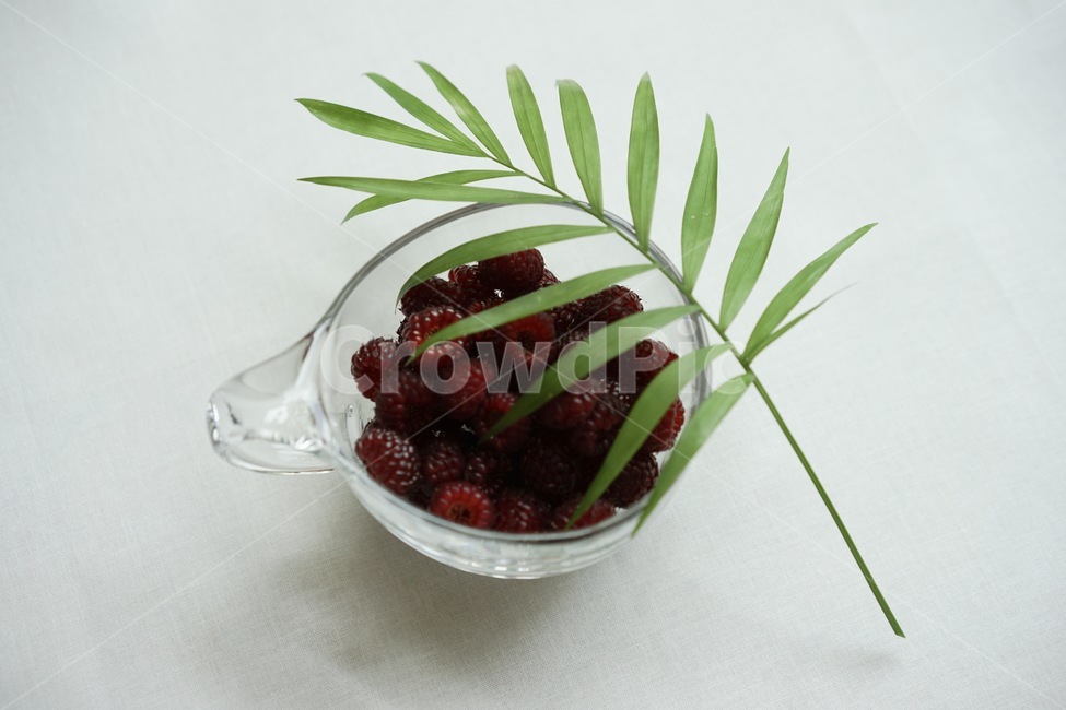 산딸기,열매,과일,라즈베리,raspberry,식물,자연,plants,nature,음식,식재료,요리,food,cook,meal,dishes,food reserves,과일,열매,fruit,연출,컨셉,콘셉,direction,concept