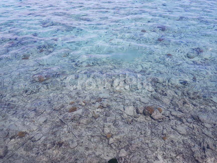 바다,물,깨끗한,깨끗한물,water,sea,자연,풍경,nature,landscape