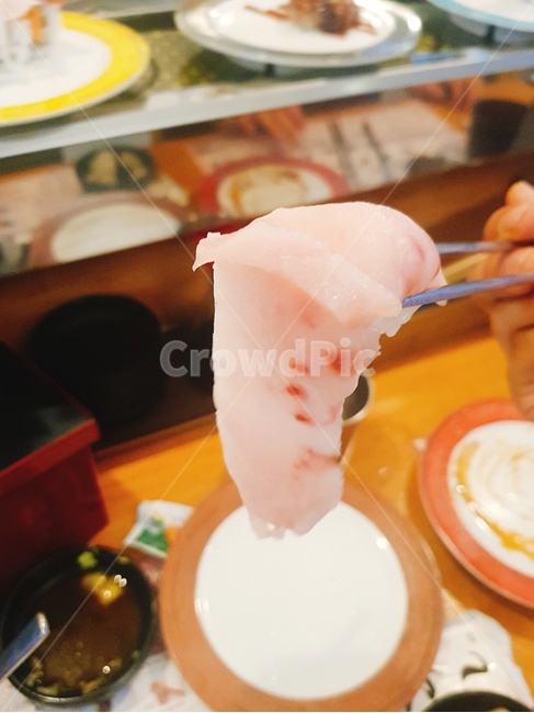 회,초밥,회전초밥,food,sushi,음식,식재료,요리,food,cook,meal,dishes,food reserves